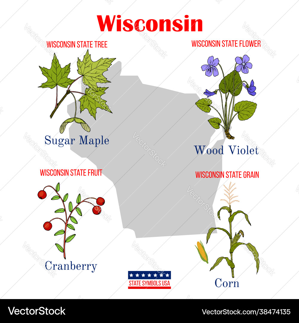 Wisconsin set usa official state symbols Vector Image