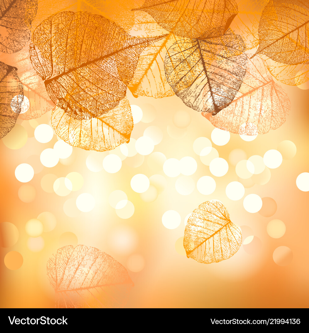 Festive background of autumn leaves Festive background of autumn leaves vector image