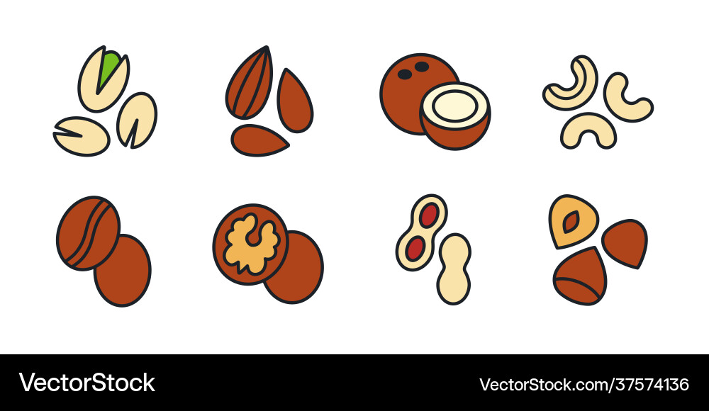 Nuts icon set linear color Nuts icon set linear color vector image