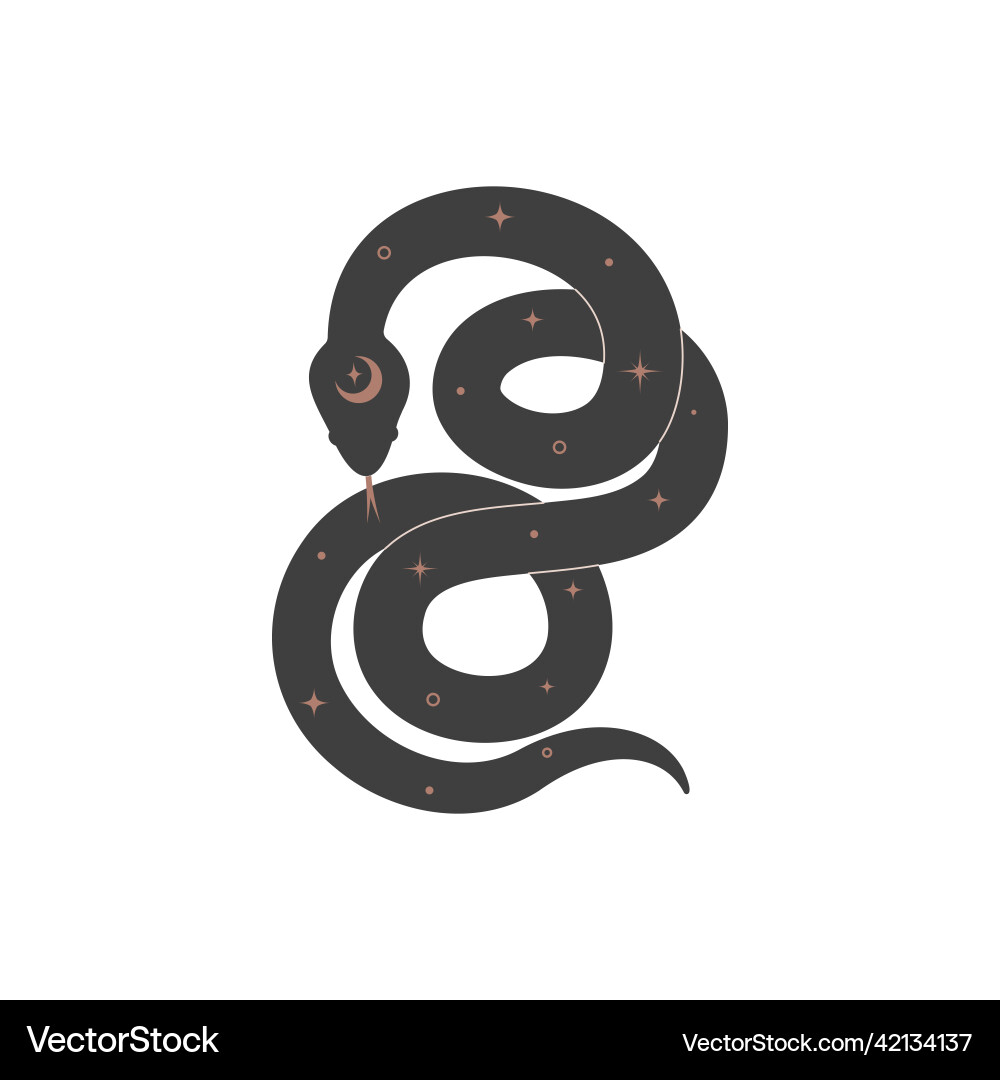 Celestial black snake with gold star spiritual Celestial black snake with gold star spiritual vector image