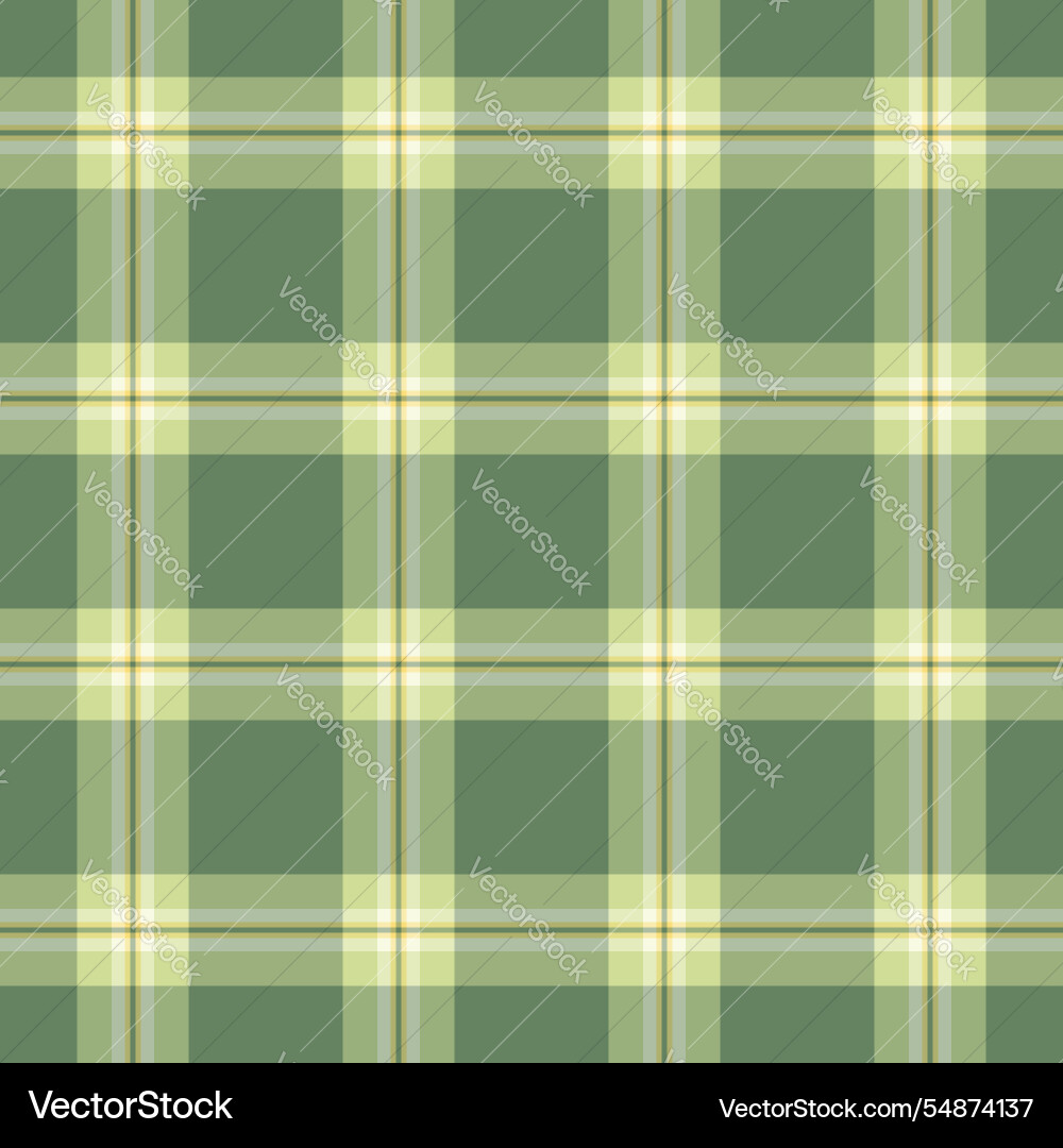 Handmade textile check texture greeting pattern vector image