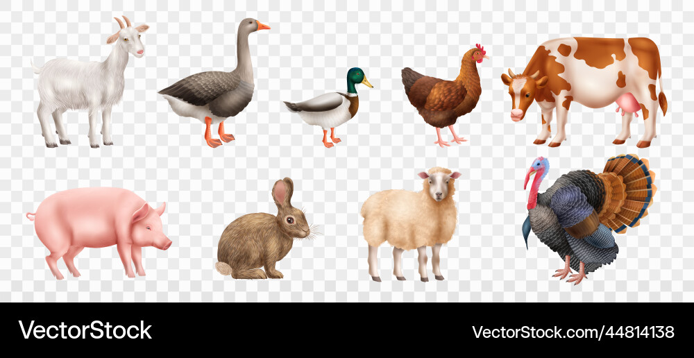 Farm animals set Royalty Free Vector Image - VectorStock