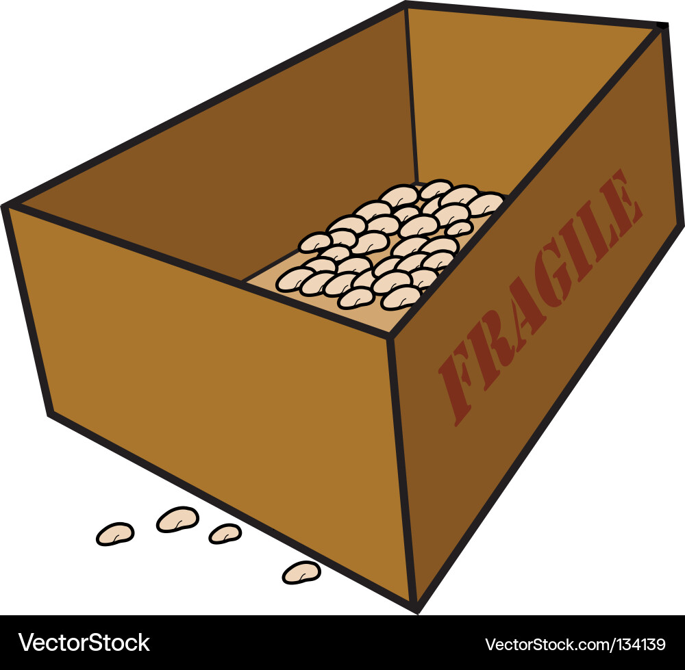 Fragile box Vector Image