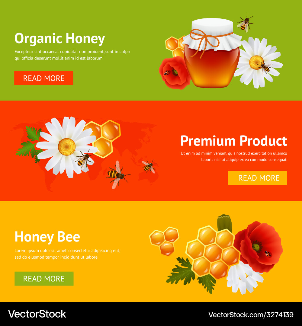 Honey banner set Vector Image
