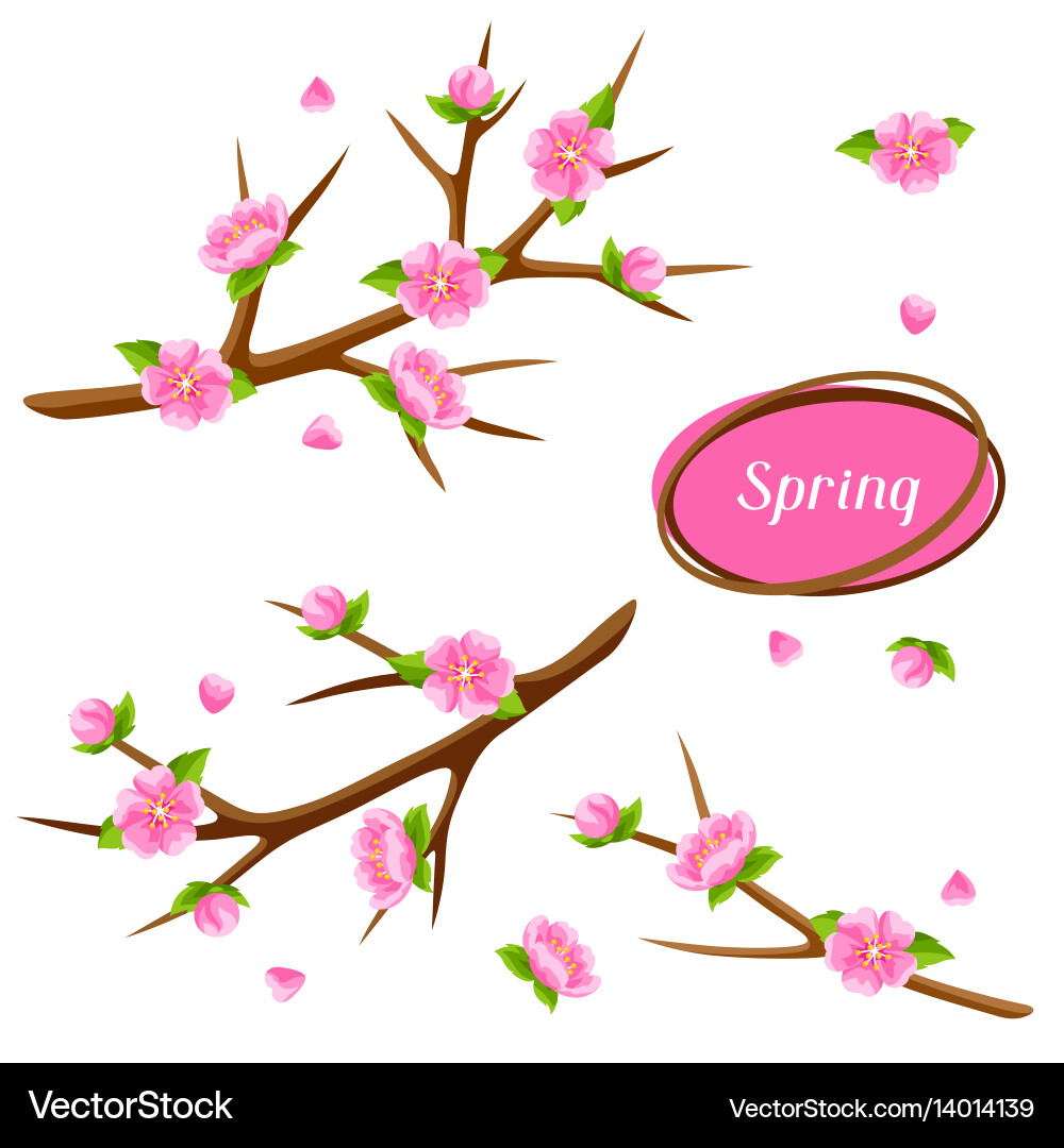 Spring set with branches of tree and sakura vector image