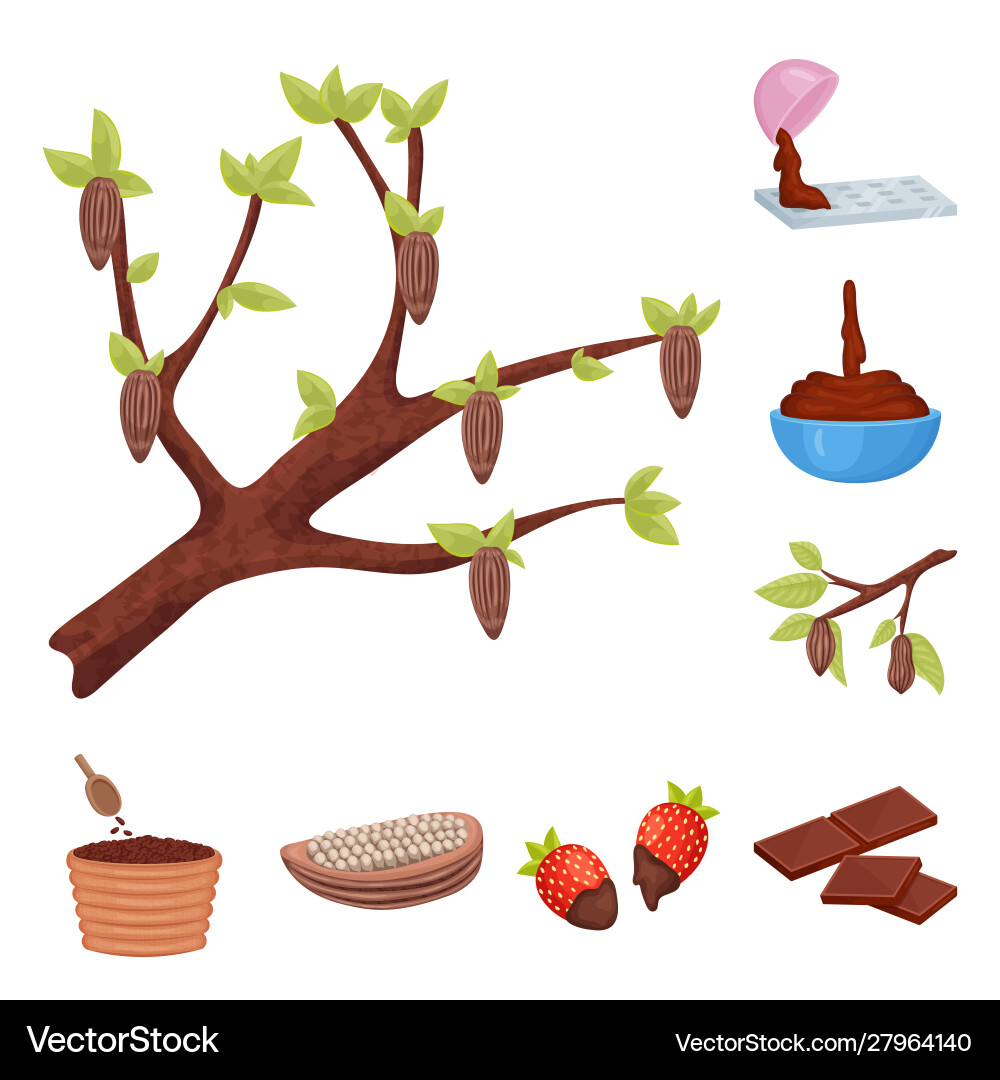 Isolated object cocoa and beans sign Isolated object cocoa and beans sign Vector Image
