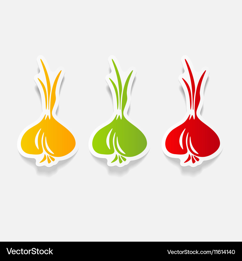 Realistic design element onion Vector Image