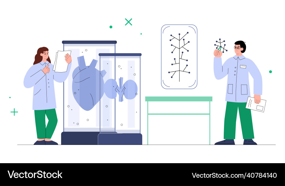 Scientists growing bioengineered human organs flat Scientists growing bioengineered human organs flat vector image