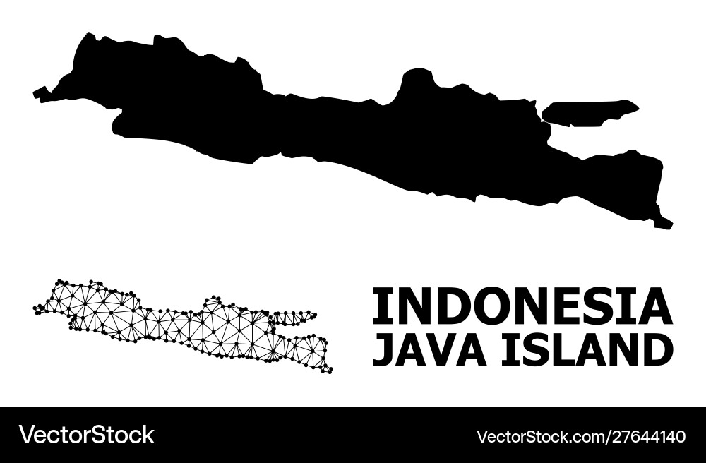 Solid and network map java island Solid and network map java island vector image