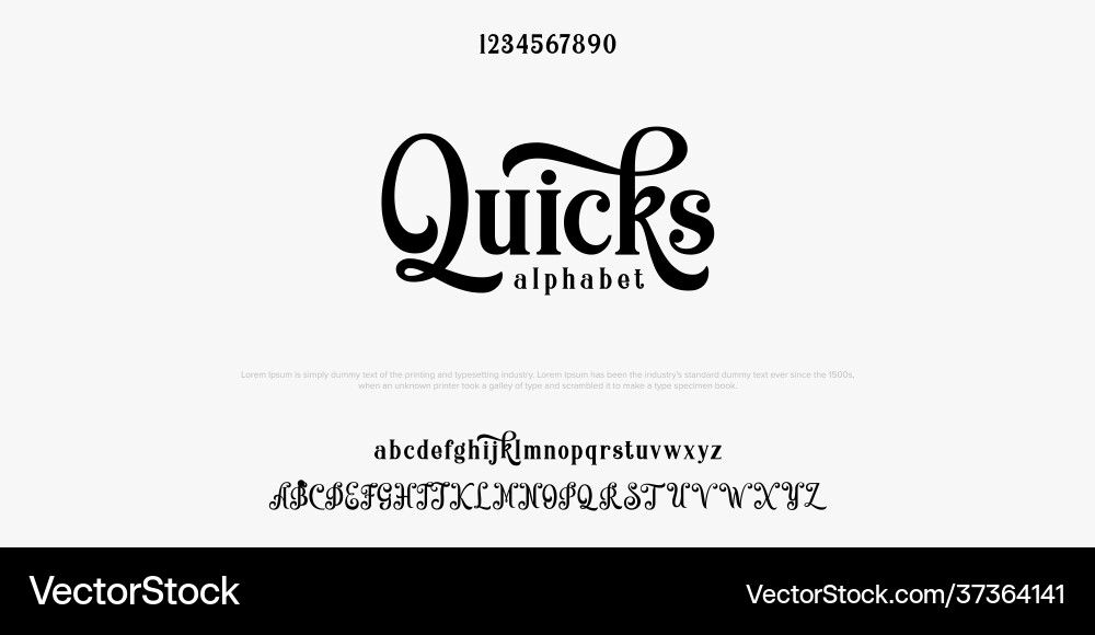 Elegant Script Alphabet Font Bundle vector image