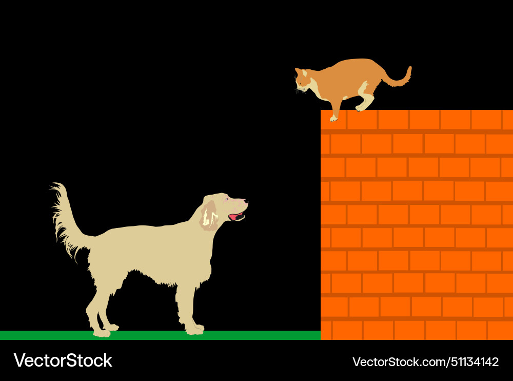 Dog stalks the cat on brick wall Royalty Free Vector Image