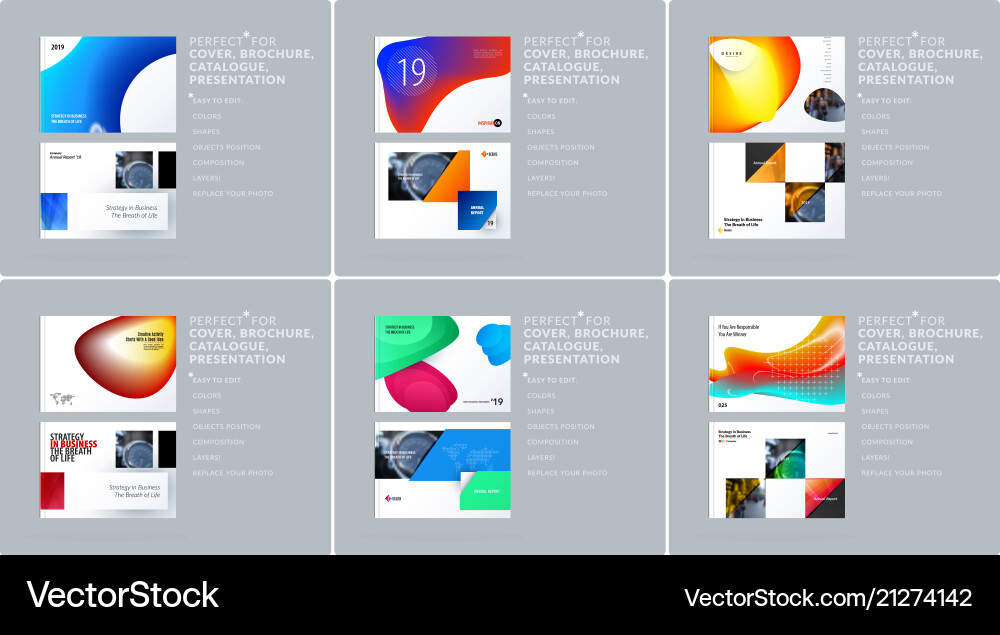 Liquid design presentation template with colourful