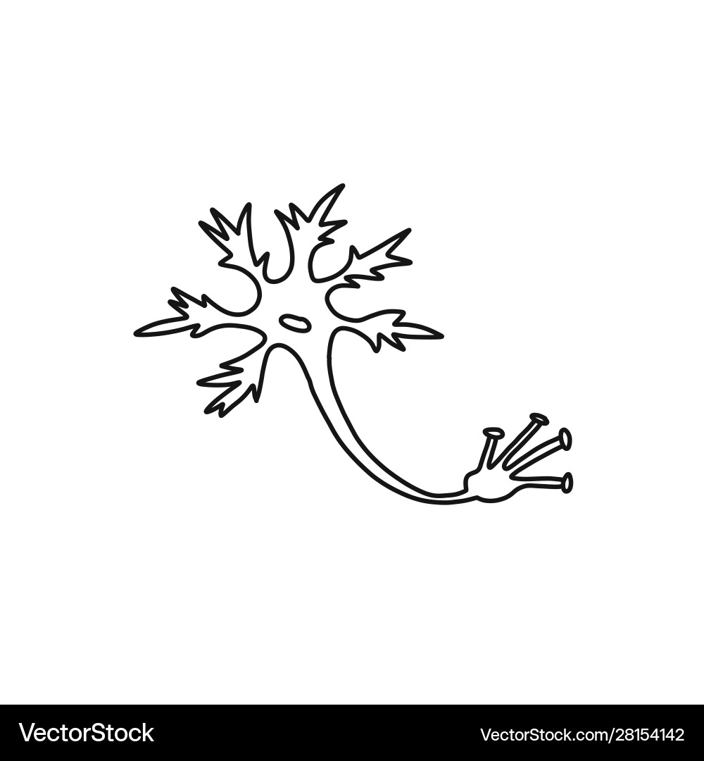 Neuron Cell Sketch - Cognitive System Vector Image