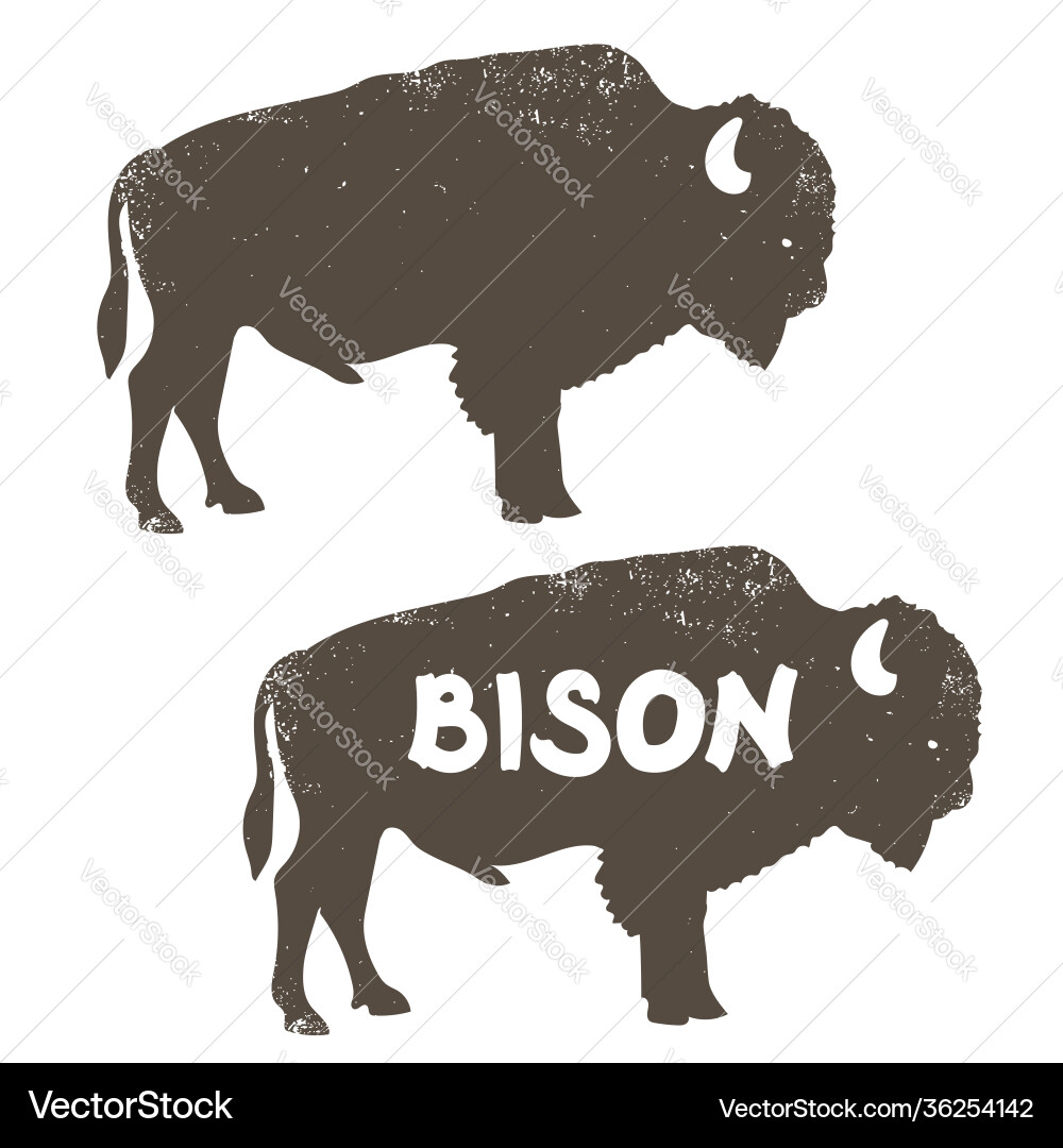 Rustic Bison Silhouette vector image