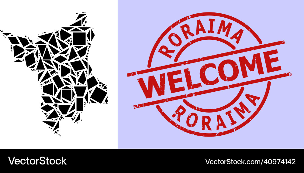 Simple geometric mosaic map of roraima state Simple geometric mosaic map of roraima state vector image