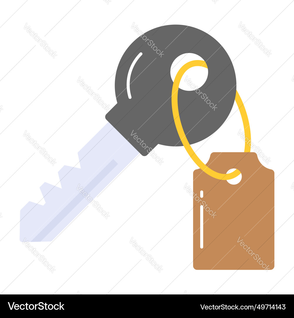 Ready to use design of key keyring attached Vector Image