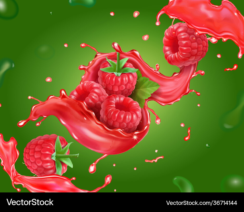 Fresh Raspberry Juice Splash Vector Image