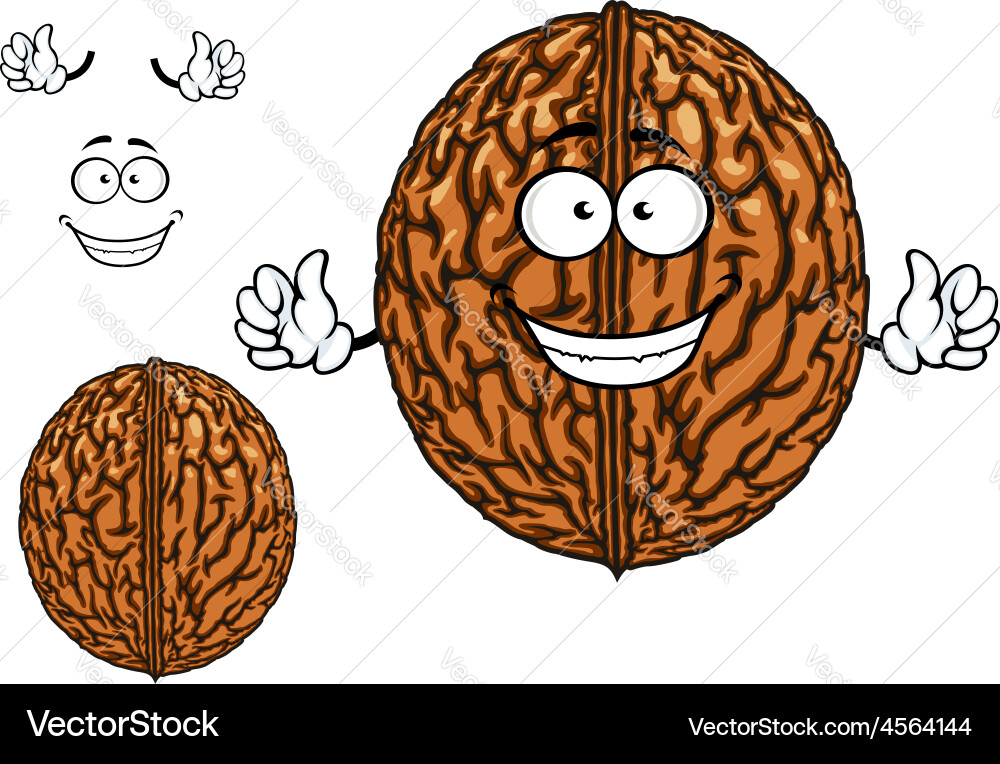 Smiling happy whole walnut character vector image