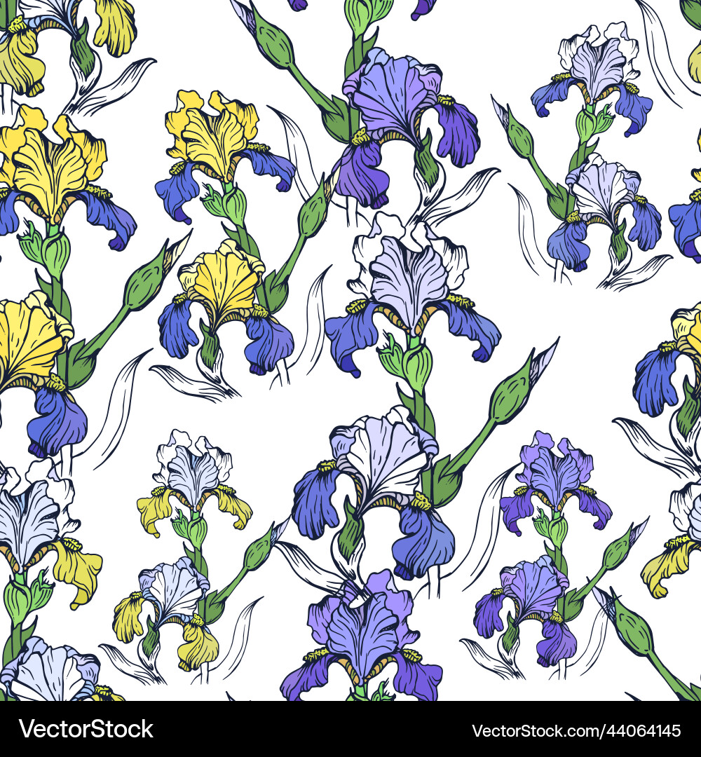 Hand drawn pattern with iris vector image