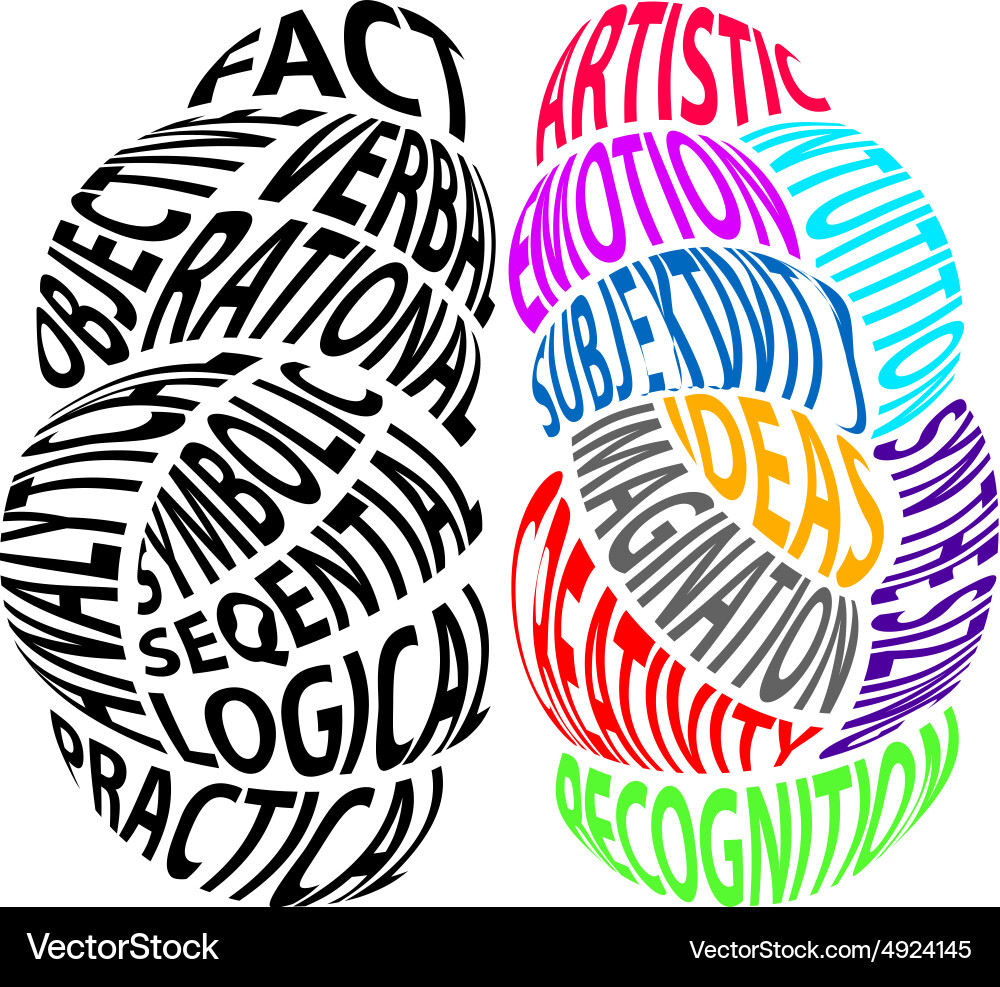 Left and Right Brains - Cognitive Concepts vector image