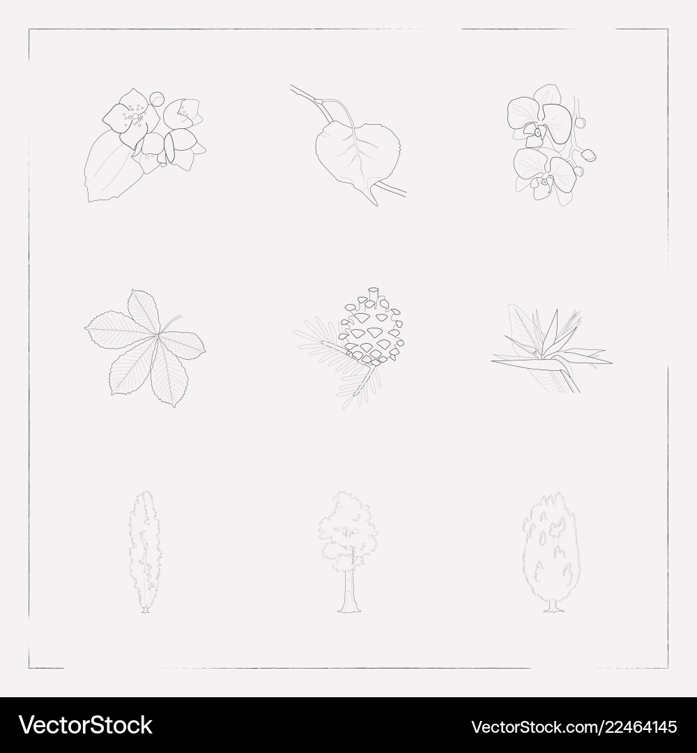 Set botany icons line style symbols Vector Image