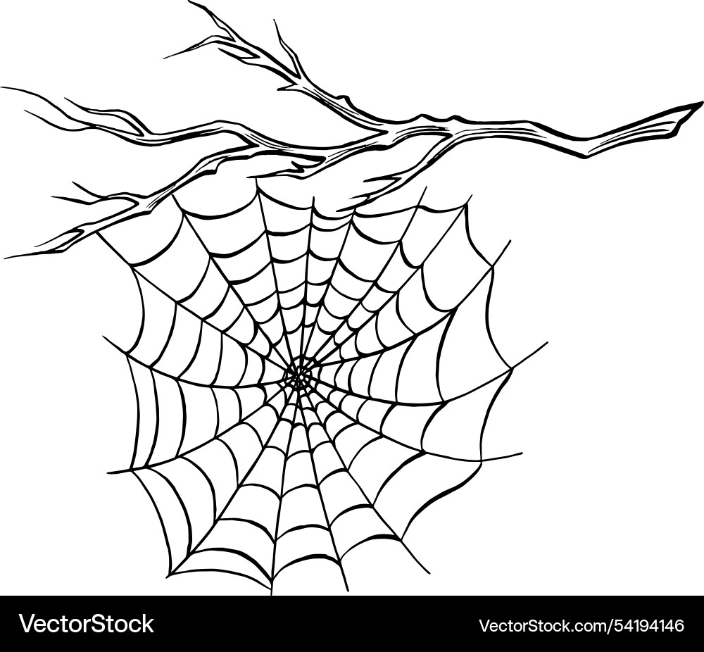Spider web on the bare tree branch composition Spider web on the bare tree branch composition Vector Image