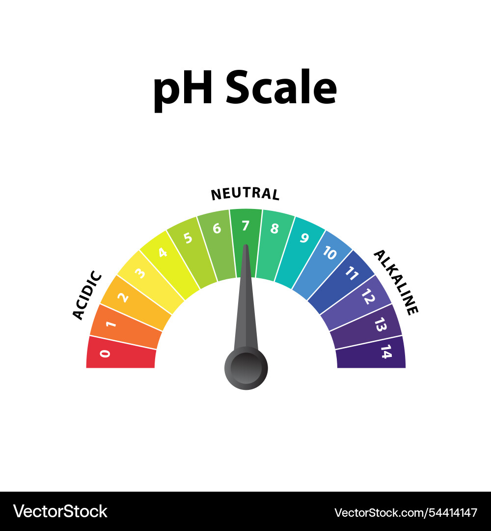 PH Level Scale Chart - Color Gradient vector image