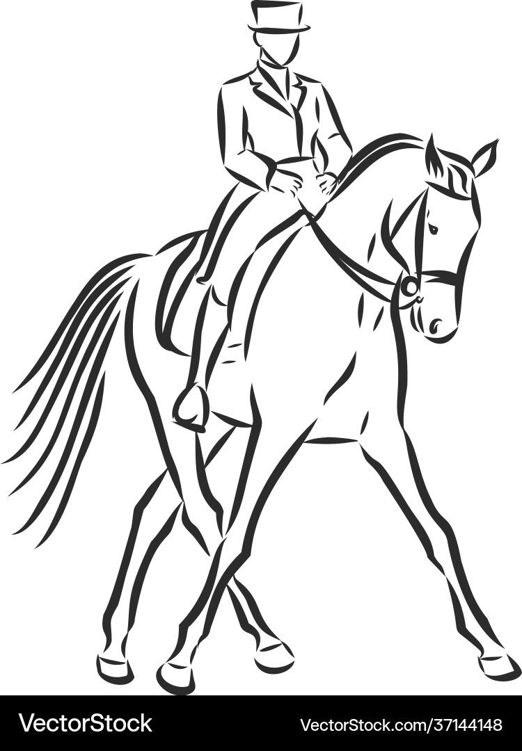 A sketch dressage rider on horse executing A sketch dressage rider on horse executing Vector Image