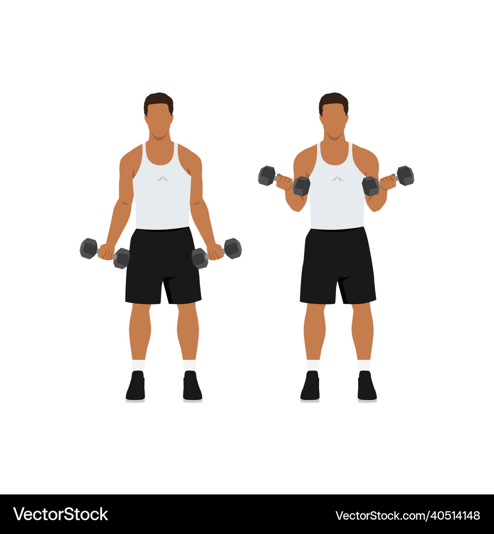 Man doing standing dumbbell bicep curls Man doing standing dumbbell bicep curls vector image