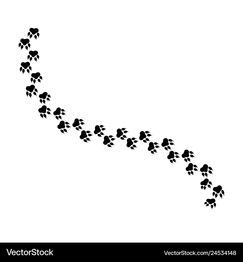 Paw logo or cat and dog animal pet Paw logo or cat and dog animal pet vector image