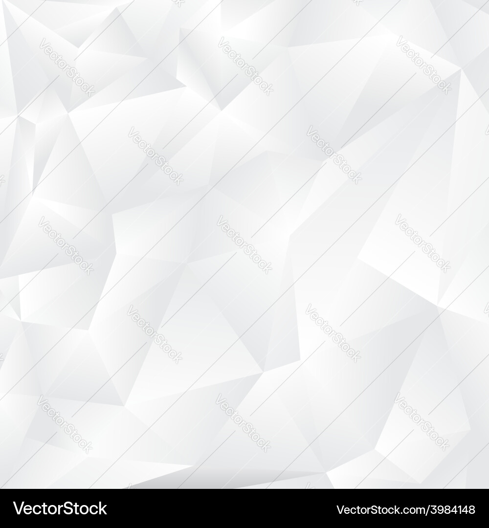White Polygon Background vector image