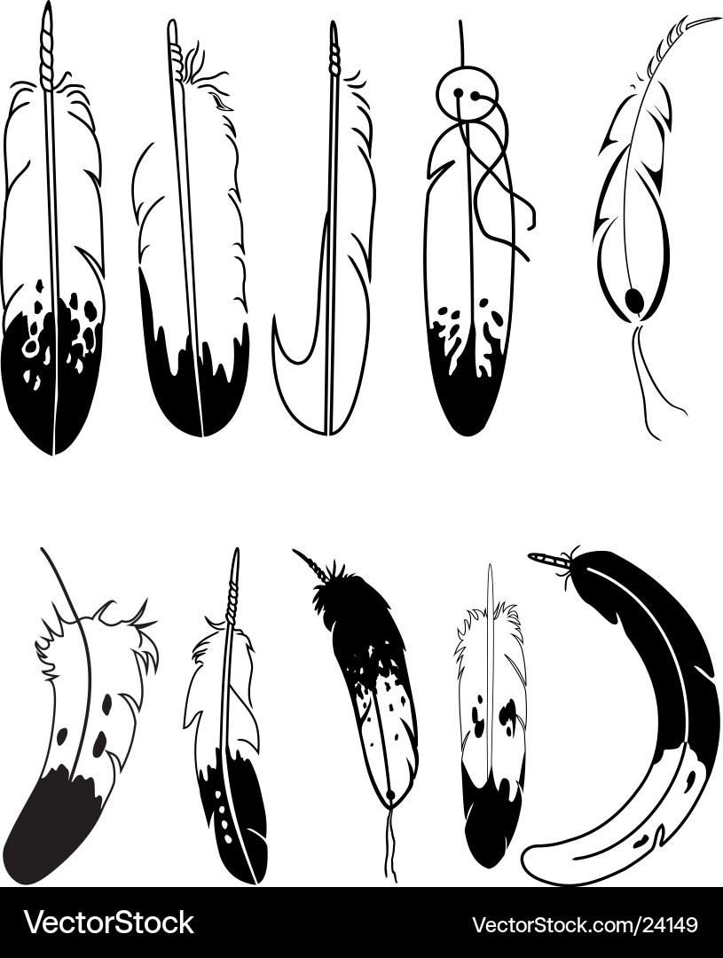 Beautiful Feather Patterns Vector Image