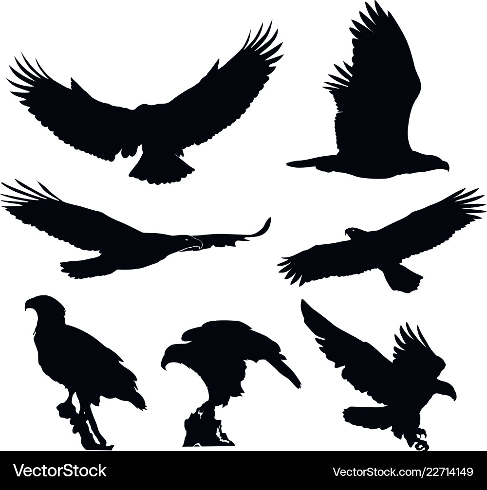 Eagle Royalty Free Vector Image - VectorStock