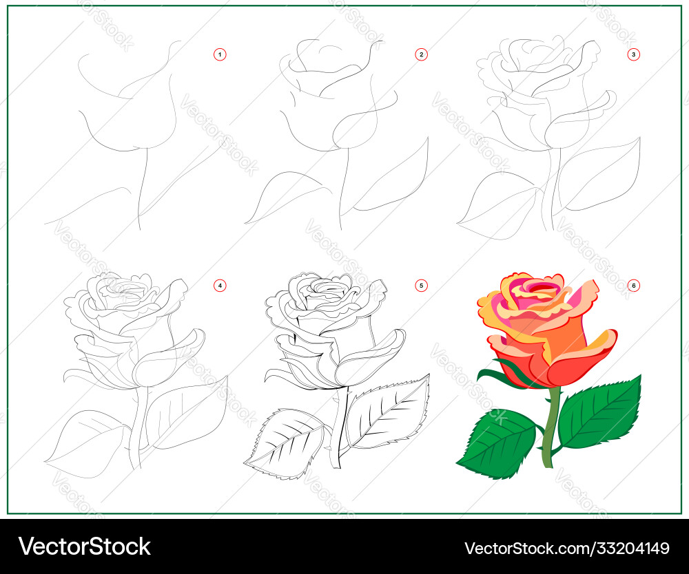 Page shows how to learn draw step Page shows how to learn draw step vector image