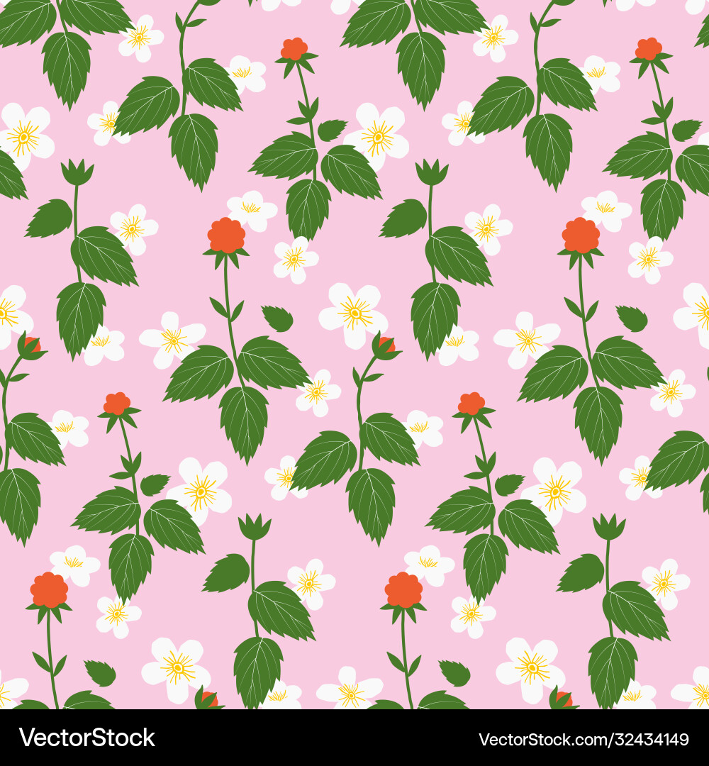 Wild raspberry seamless pattern Wild raspberry seamless pattern vector image