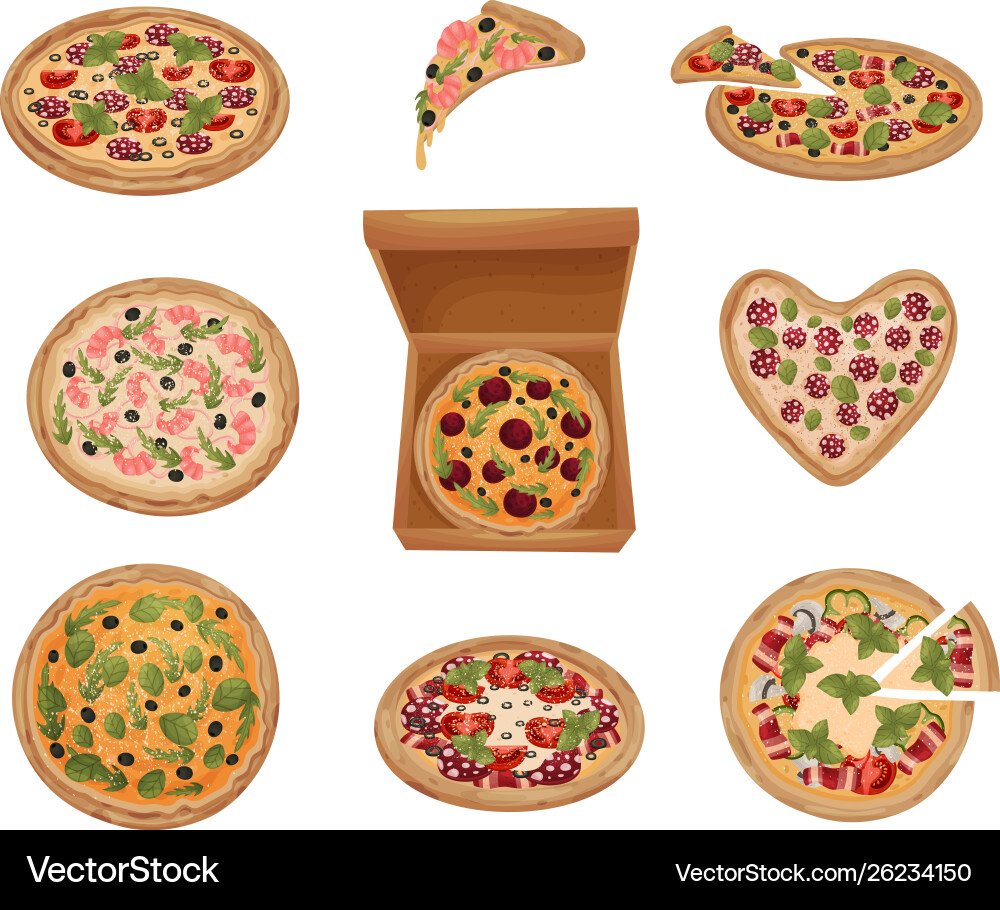 Set images pizzas different types Set images pizzas different types Vector Image