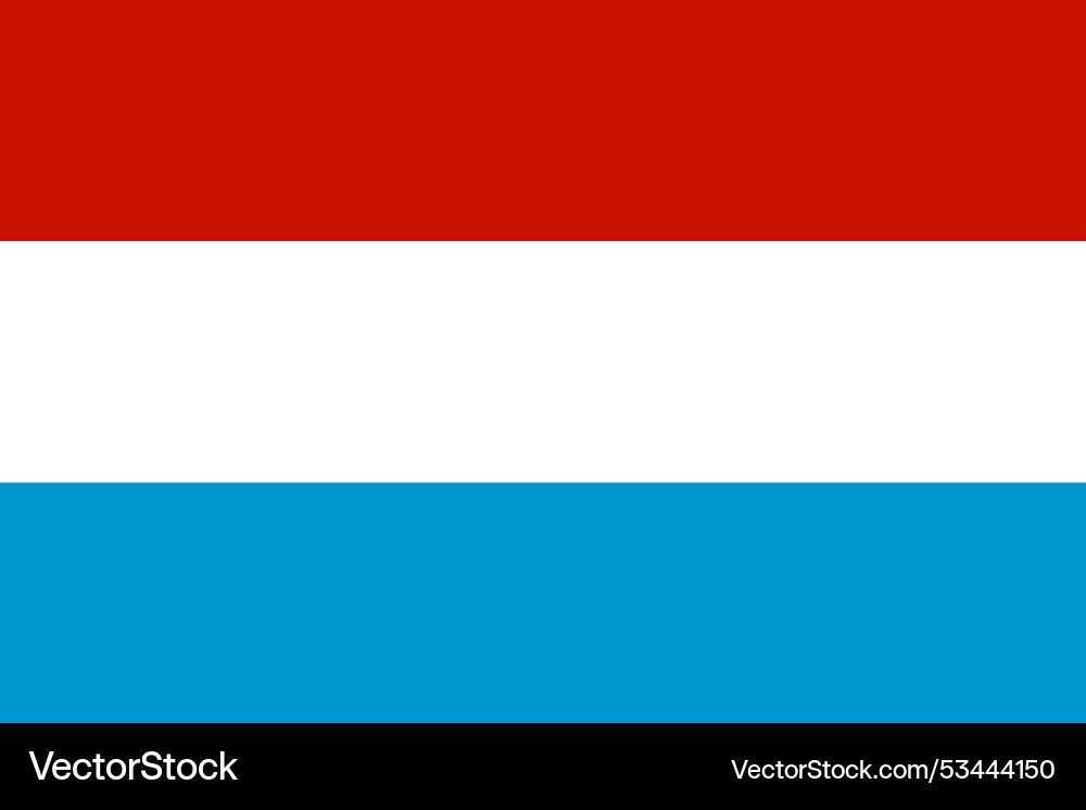 Statenv flag Vector Image