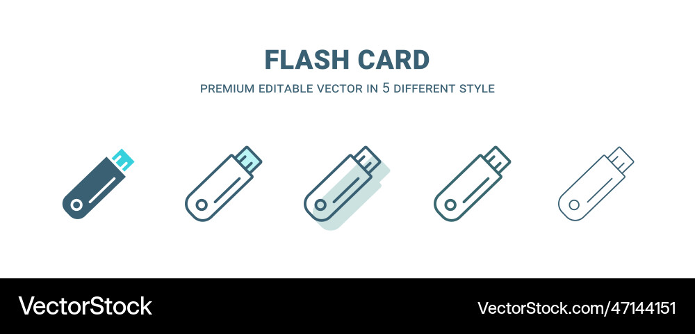 Flash card icon in 5 different style outline vector image
