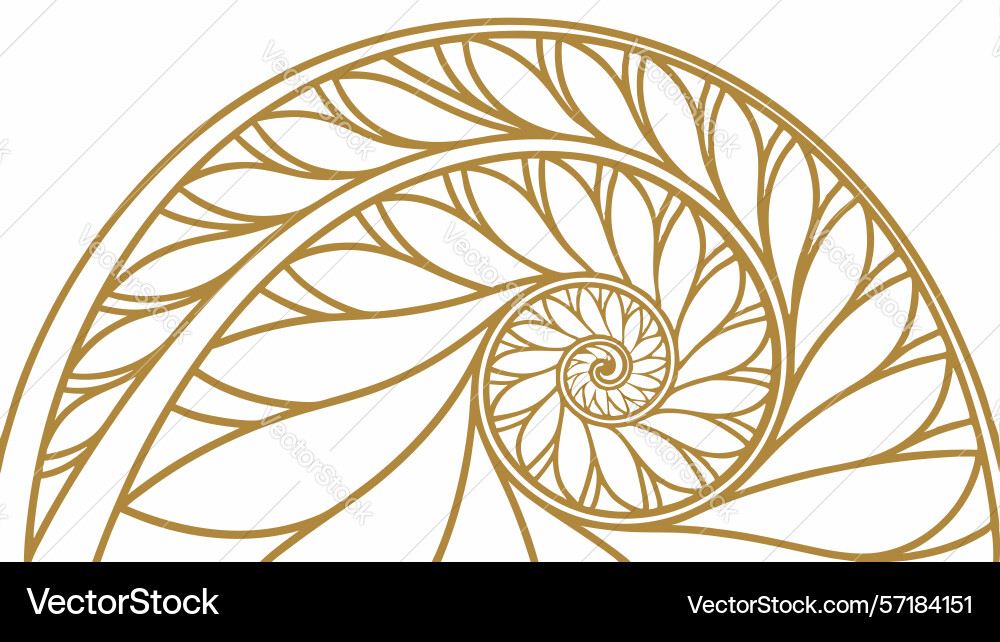 Nautilus shell swirl abstract design generative vector image