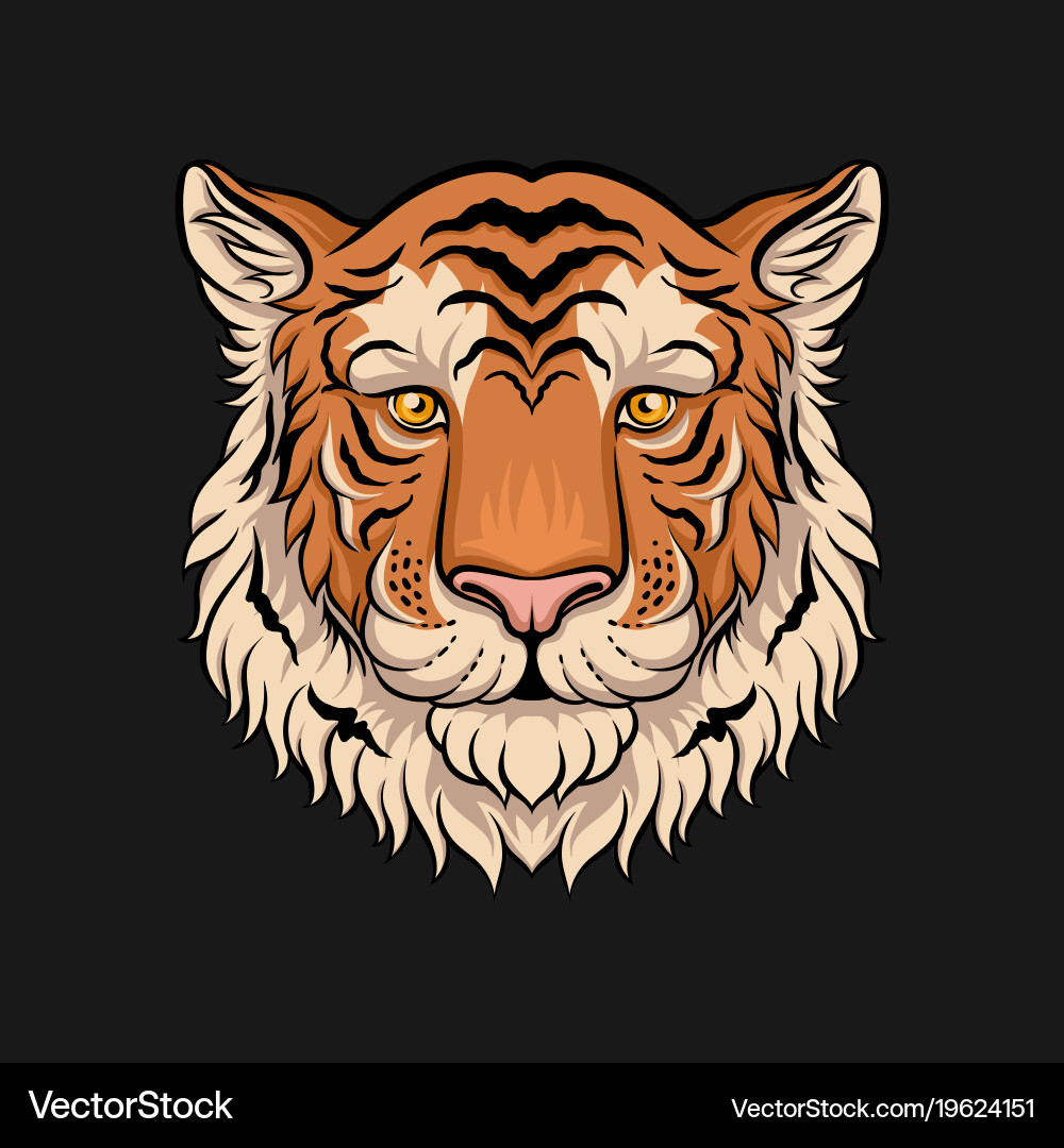 Tiger Face - Wild Animal Portrait Vector Image