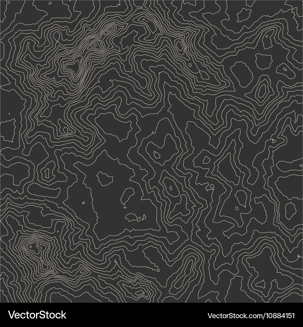 Topographic map background concept with space vector image