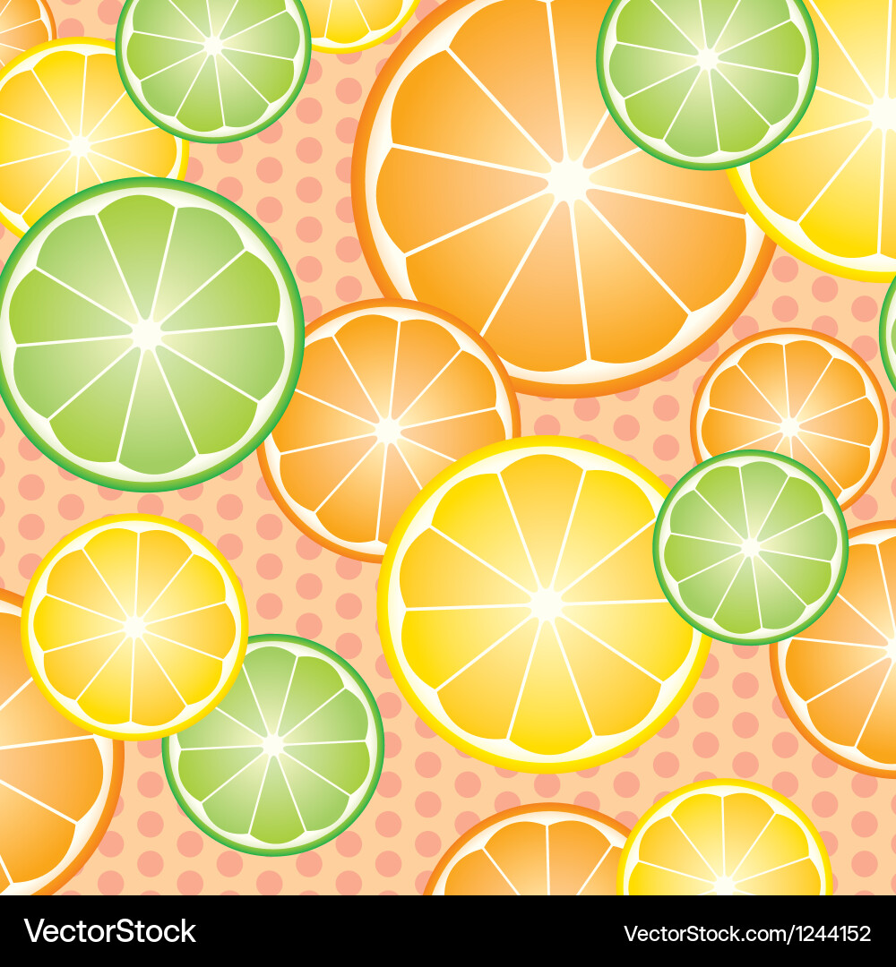 Abstract with pattern oranges slices vector image
