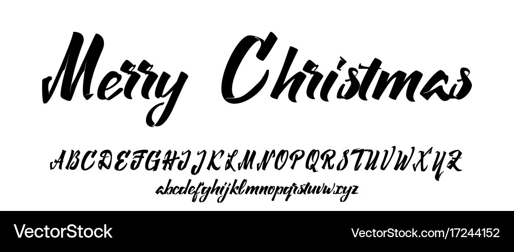 Elegant Calligraphic Script Font vector image