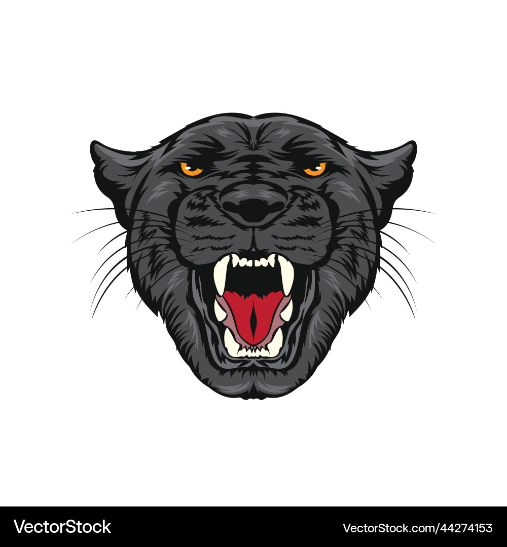 Angry panther face Royalty Free Vector Image - VectorStock