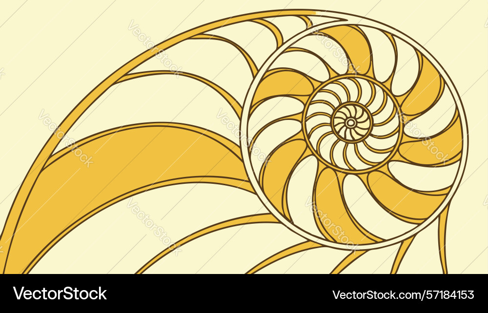 Golden nautilus shell swirl art design generative vector image