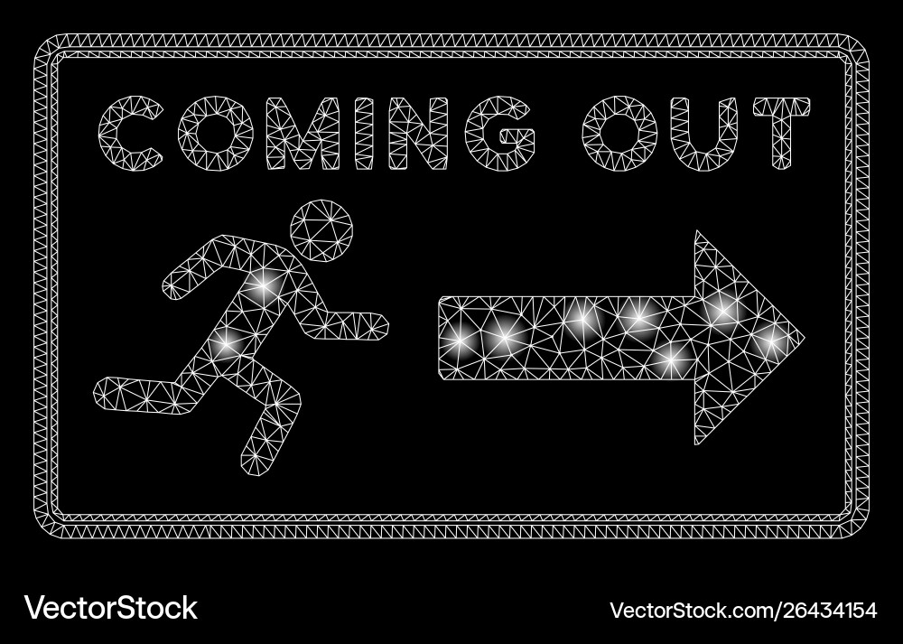 Flare mesh network coming out rectangle with Vector Image