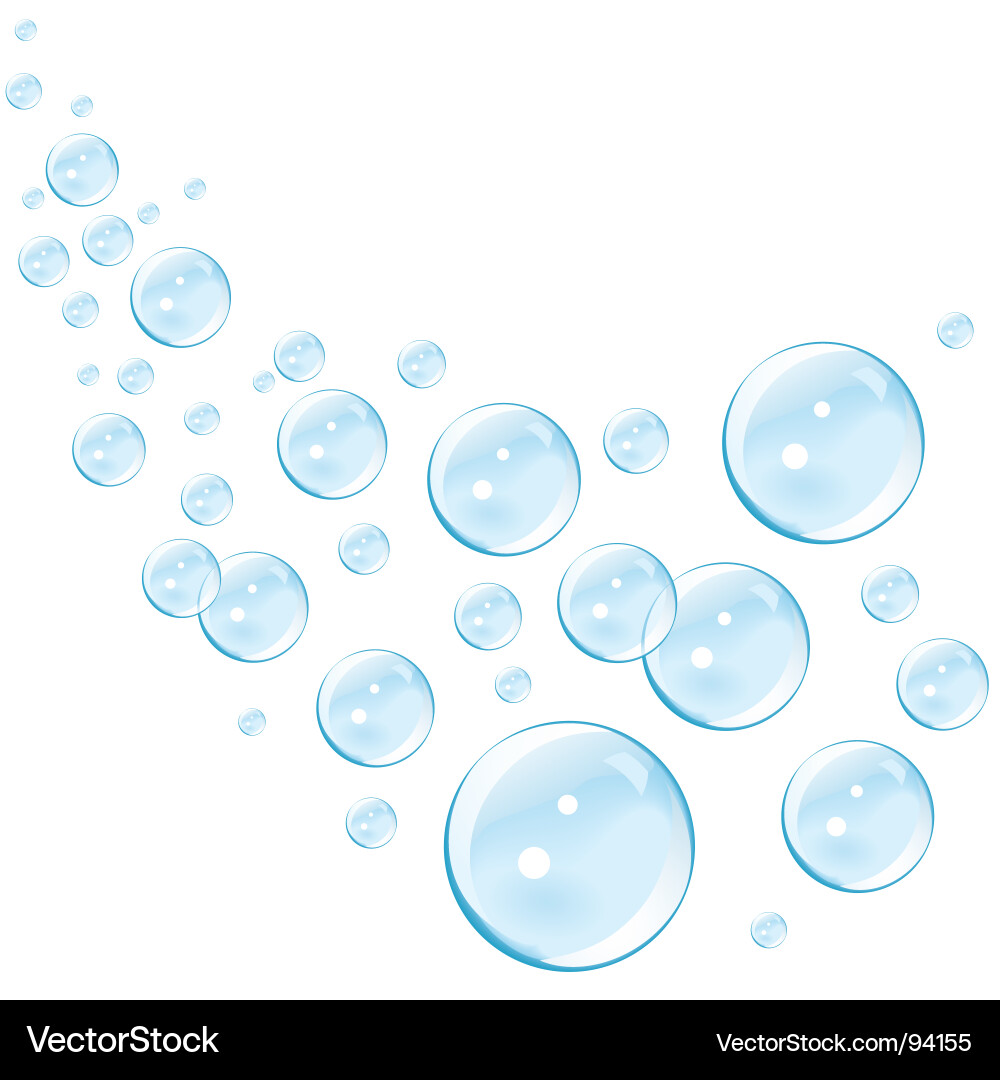 Floating Bubbles Vector Image