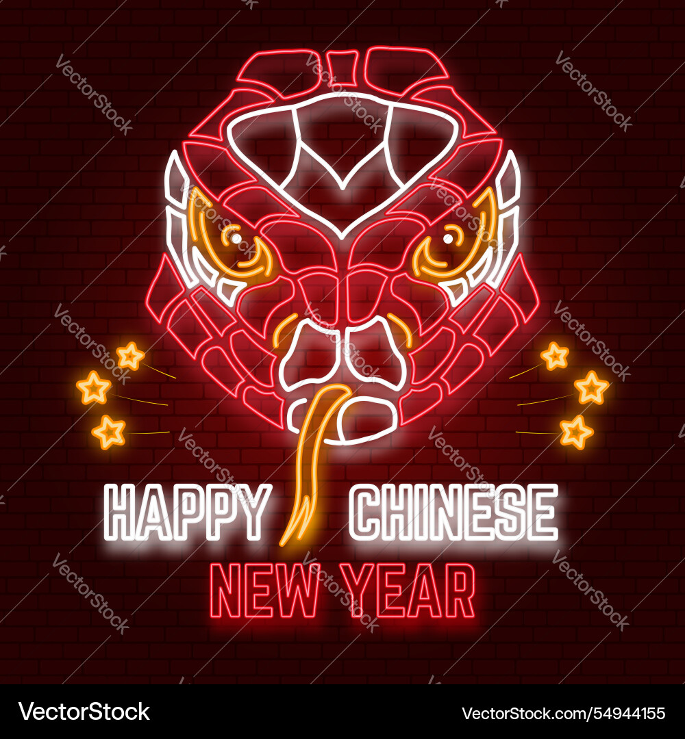 Happy chinese new year neon greetings card flyers Happy chinese new year neon greetings card flyers vector image