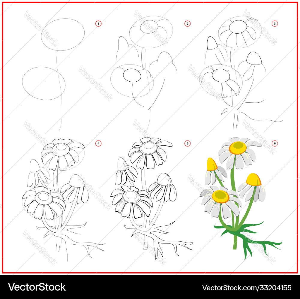 Page shows how to learn draw step Page shows how to learn draw step vector image