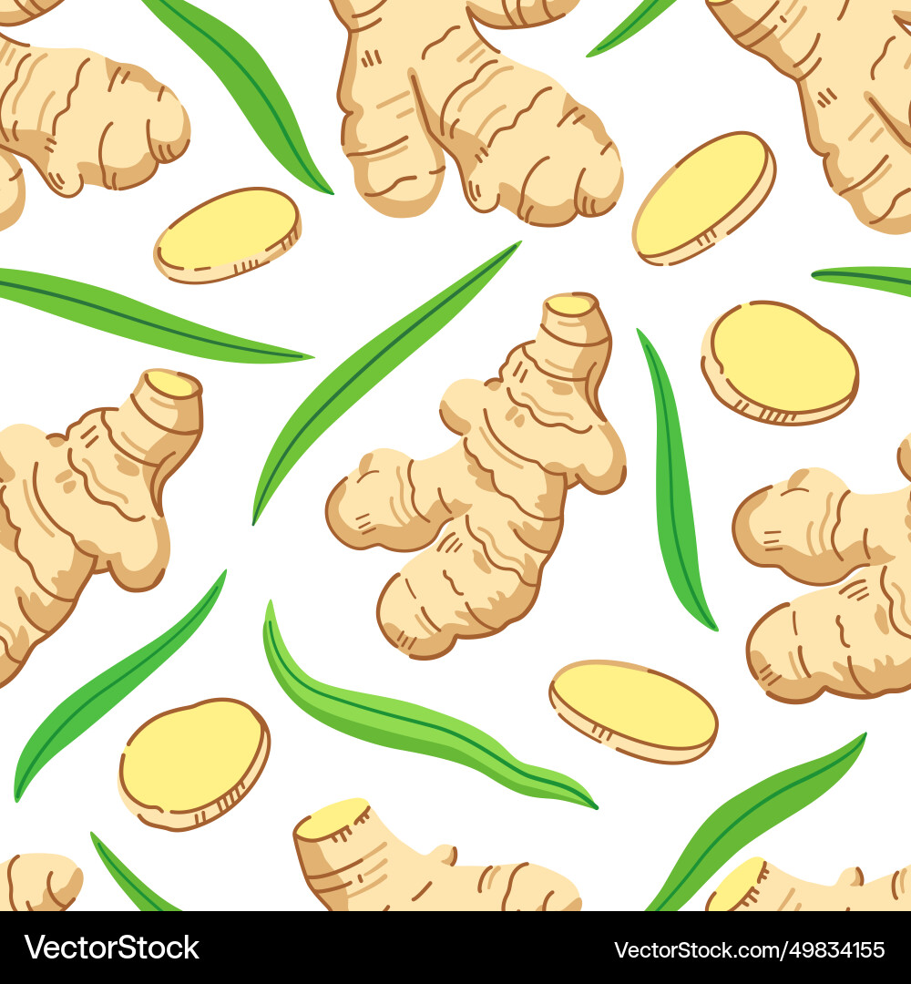 Seamless pattern with ginger roots slices vector image